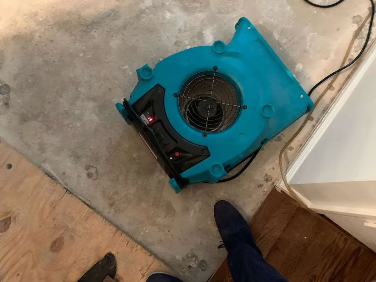 Air mover drying subfloor during Commercial Water Damage Restoration in Laie